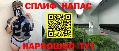 прущие грибы Краснознаменск