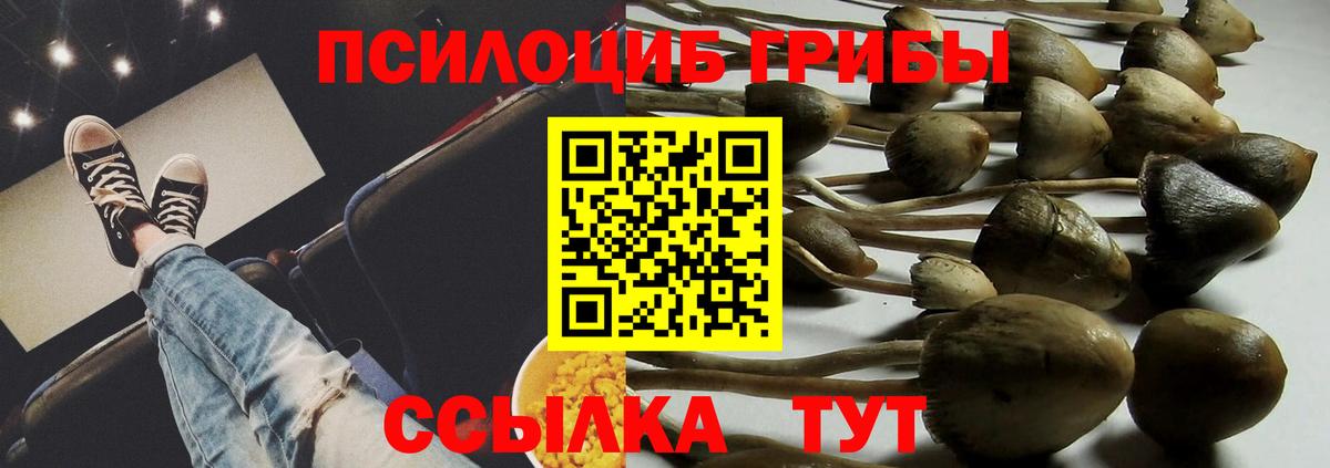 Псилоцибиновые грибы мицелий Благовещенск